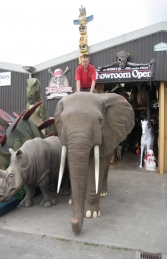 Elephant - African (JR 100059) - Thumbnail 01