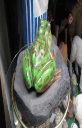 Green and Golden Bell Frog on Rock (JR 100002) - Thumbnail 02