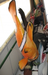 Giant Clown Fish Hanging (JR 100089)	 - Thumbnail 02