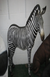 Zebra Foal (JR 110099) - Thumbnail 01