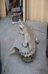 Crocodile - Mouth Open 12ft (JR 110091)	 - Thumbnail 02