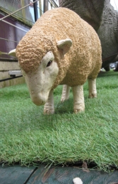 Merino Sheep head down - Small (JR 110125) - Thumbnail 02