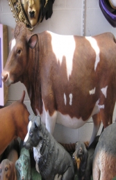 Guernsey Cow (JR 120003) - Thumbnail 02