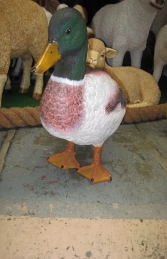 Duck - Mallard Male (JR 110021) - Thumbnail 02
