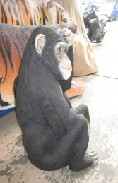 Chimpanzee (JR 110026) - Thumbnail 03