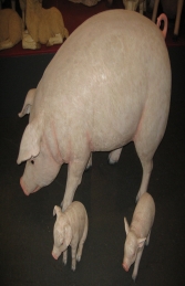 Pig - Fat (JR 120073) - Thumbnail 03