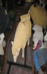 Merino Sheep Head Up Esky (JR 080069esky)