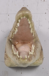 Crocodile head mouth open JR 190049 - Thumbnail 02