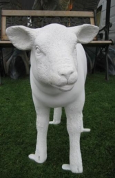 Texelaar Lamb - Smooth (JR 100024s)    - Thumbnail 02