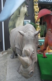 Rhinoceros (JR 110010)	 - Thumbnail 02