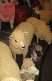 Ryeland Ewe Sheep (JR 120006) - Thumbnail 02