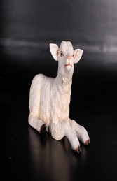 Goat - Kid Resting (JR 130015) - Thumbnail 01