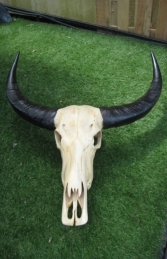 Ivory Skull Large (JR 0030) - Thumbnail 01
