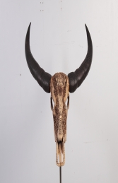 Ivory Skull 3 (JR 0031)