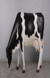 Cow Head Down smooth no horns- Friesian -JR 0038F - Thumbnail 01