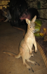 Kangaroo 2ft (JR 2402)