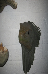 Lizard Head (JR DD88104A) - Thumbnail 02