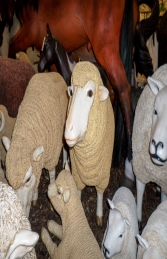Merino Sheep Head Up (JR 080069) - Thumbnail 03