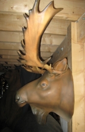 Moose Head No Fur (JR 2076-nf)