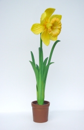 Daffodil 5ft (JR 2140)    - Thumbnail 01