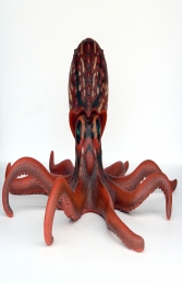 Octopus 2 meters wide (JR 2547) - Thumbnail 01