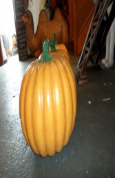Pumpkin (JR 150075) - Thumbnail 03