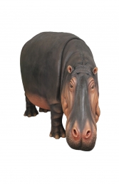 Hippopotamus (JR R-012) - Thumbnail 01