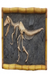 T Rex Skeleton wall mounted (JR R-048)