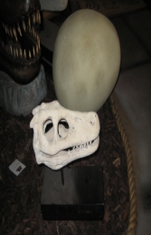 Raptor Skull on base (JR 100503RS) - Thumbnail 03