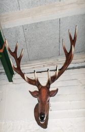 Red Deer Head Stag (JR 130095) - Thumbnail 03