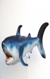 Shark Small (JR 2398)