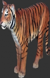 Sumatran Tiger (JR 100078) - Thumbnail 01