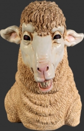 Merino Sheep Head 3 (JR 110046)