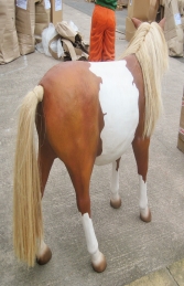 Shetland Pony (JR 2485) - Thumbnail 03