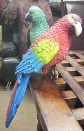 Sitting Parrot - Red (JR R-036) - Thumbnail 03