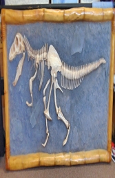 T Rex Skeleton wall mounted (JR R-048) - Thumbnail 02