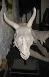 Triceratops Skull on base (JR 080046RS) - Thumbnail 02