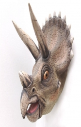 Triceratops Head (JR 2308) - Thumbnail 01