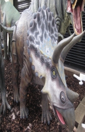 Triceratops (JR 100048)	 - Thumbnail 03