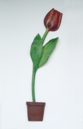 Tulip Half 6ft (JR 1724)   