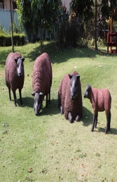 Texelaar Sheep Head Up (JR 100022b) - Thumbnail 02