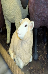 Texelaar Lamb Resting-Cream (JR 110034C) - Thumbnail 03