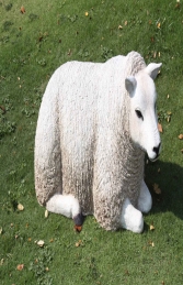 Texelaar Sheep Lying Down (JR 100023w)    - Thumbnail 02