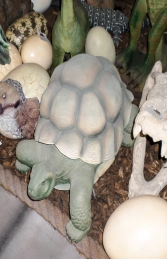 Tortoise (JR R-026) - Thumbnail 03