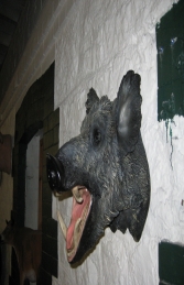 Hog Head (JR DD88135A) - Thumbnail 03