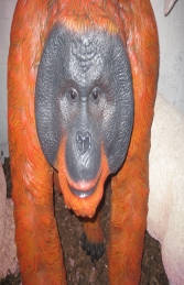 Orangutan Walking Life-size (JR 140041)  - Thumbnail 02