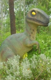 Tyrannosaurus T Rex Baby (JR 1593) - Thumbnail 02