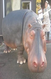 Hippopotamus (JR R-012) - Thumbnail 02