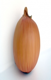 Onion 1.5ft (JR 2529)