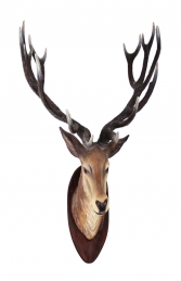 Deer Head (JR R-006) - Thumbnail 01
